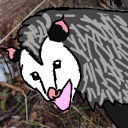 thepossumbat avatar