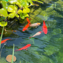 thepriceofsaltsblog avatar