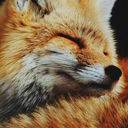 theprinceofpyronia avatar