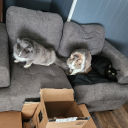 theproblemwithsports avatar