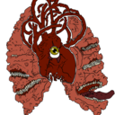 thepulmonaryartery avatar