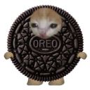 thepumk1nmaster avatar