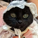 thepuppetreesystem avatar