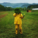 thepurepurveyorfarms-blog avatar