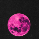 thepurpl3moon avatar