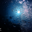 thepurplediver avatar