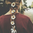 thepuzzleofthesun avatar