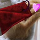 thepyramidsloth avatar