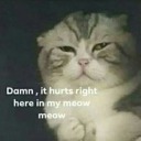 thequeerwasteland avatar