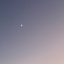 thequiethingss avatar