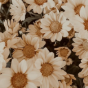 thequotegarden avatar