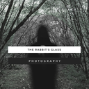 therabbitsglass-blog avatar