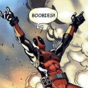 theraccoonprophet avatar