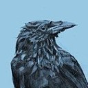 theraddestcrow avatar