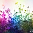 therainbowromance avatar