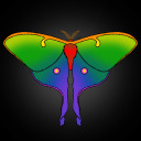 therainbowruler avatar