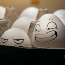 therandomshitifind avatar