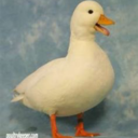 there-is-no-god avatar