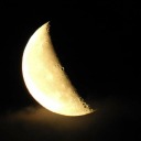 there-is-only-chaos avatar