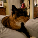 there-was-a-hole-here-itsgonenow avatar