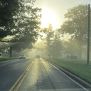 therealfeaselblomberg avatar