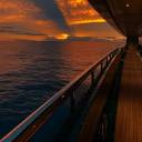 therealistworld avatar