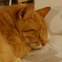 thereallesbianbaby avatar