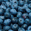 thereallifeofaraccoon avatar