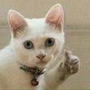 therealmelivesontheinternet avatar