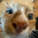 therealouchmanyouwchman avatar