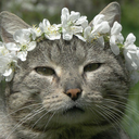 therealqueenp avatar