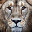 therealslickshady avatar