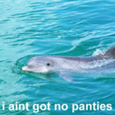 therealwhitebitch avatar