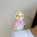 therebloghermit avatar