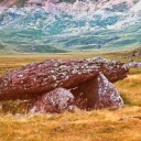 thereblogmachine avatar