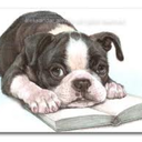 therebutforthe avatar