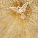 thereconstructinggirl avatar