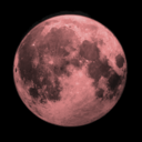 theredmoon avatar