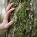 thereelcodfather-rp avatar