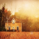 thereferencepoint avatar