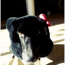 thereisamonsterinmypanties avatar