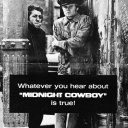 thereisnodanger avatar