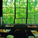 thereisnoskyintheforest avatar