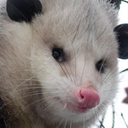 thereisnothing426426 avatar