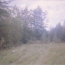 thereisnothingtoseehere avatar