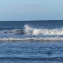 thereisntland avatar