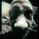 thereiwander avatar