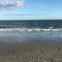 theremarkablethings avatar