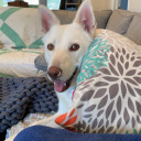 theres-a-hell-of-a-good-universe avatar