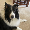 theres-a-moment-you-know avatar